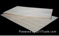 poplar core plywood 2