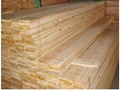 poplar core plywood 3