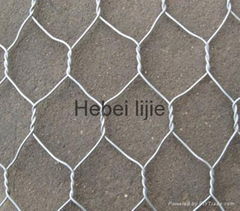 Hexagonal Wire Mesh