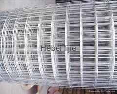 Welded Wire Mesh