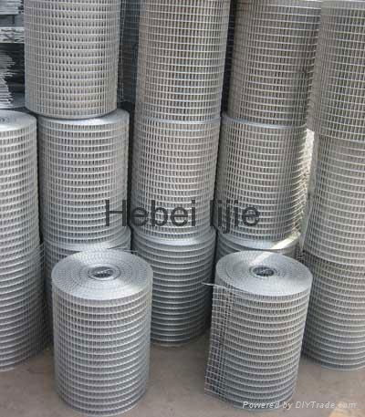 Welded Wire Mesh 3