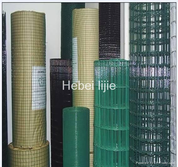  Welded Wire Mesh 2