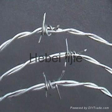 Barbed wire 4