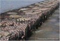 Gabion box 3