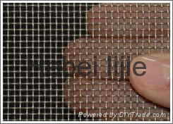 Galvanized Square wire mesh