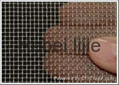 Galvanized Square wire mesh