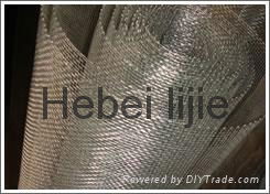 Galvanized Square wire mesh 3