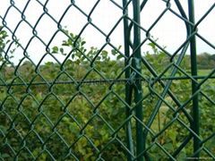 Welded wire mesh fence