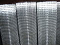 pvc coate   alvanized welded wire mesh 1