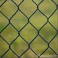 pvc chain link mesh 1