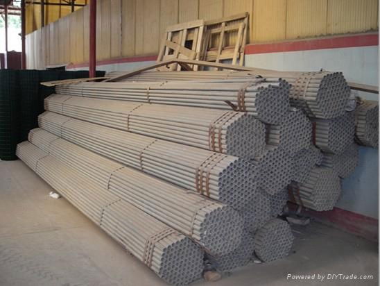 high quality hot dipped galvanized steel pipe in stock 2