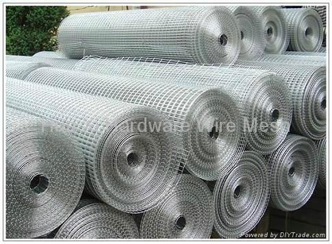 hot-dipped electro galvanized welded wire mesh 