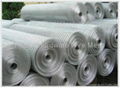 hot-dipped electro galvanized welded