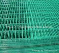 hot-dipped electro galvanized welded wire mesh  2