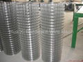 hot-dipped electro galvanized welded wire mesh  5