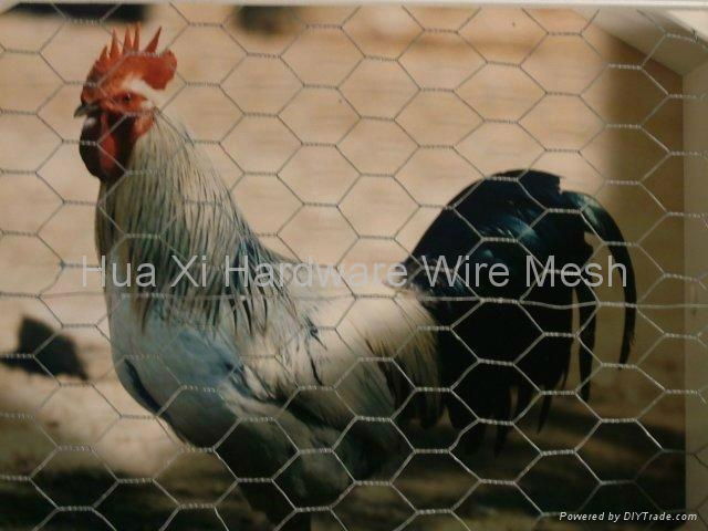 hexagonal wire mesh