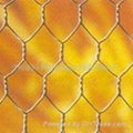 hexagonal wire mesh 5