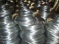 galvanized wire  2