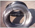 stainless steel wire  3