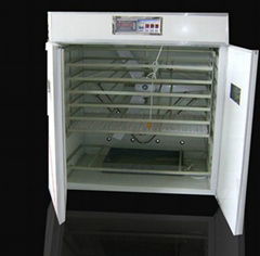  automatic incubator