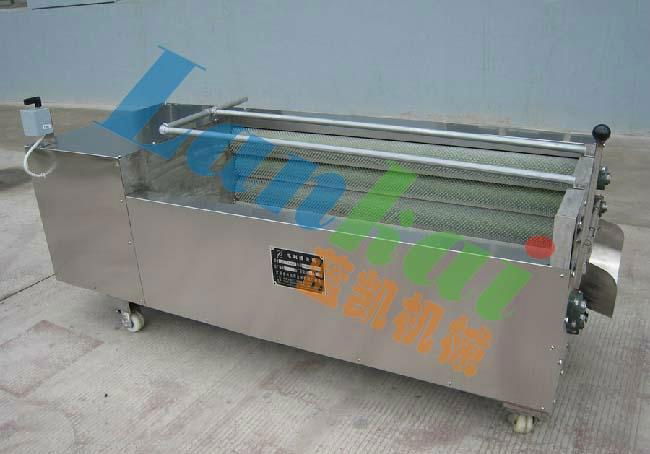 potato washing and peeling machine 2