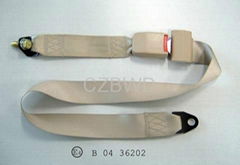 Simple 2-point safety seat belt