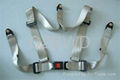 S-type safety hardness belt 4