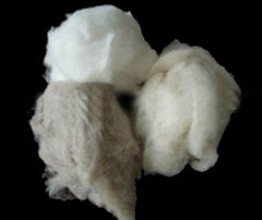 pure pashmina fibre