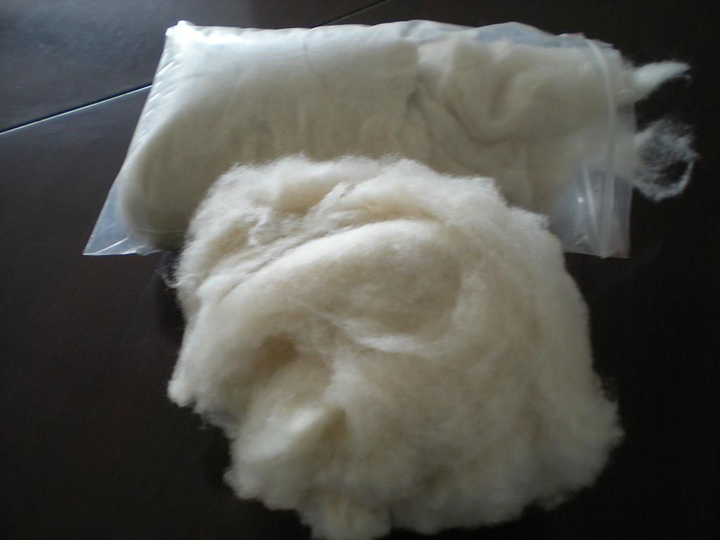 pure pashmina fibre 4