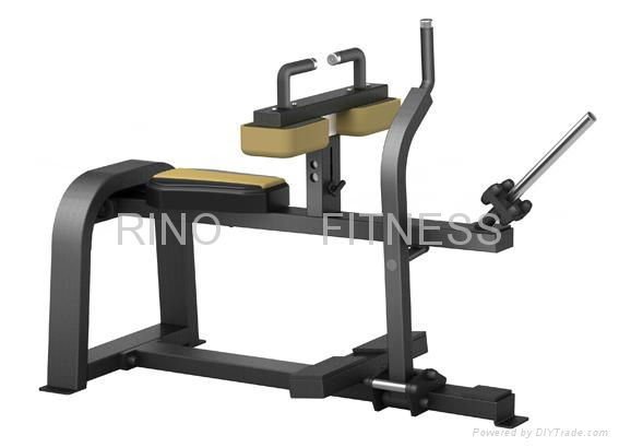 Gym Equipment-----Seated Calf