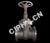 Casting steel Gate Valve  1