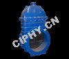  Gate Valve 