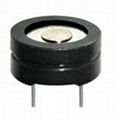 external drived magnetic buzzer