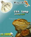 Full Spectrum Metal Halide Lamp with UVA