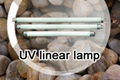 Linear Fluorescent UV Lamp