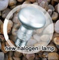 Halogen Basking Spot Lamp 1