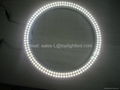 Circular LED Tube Light 1