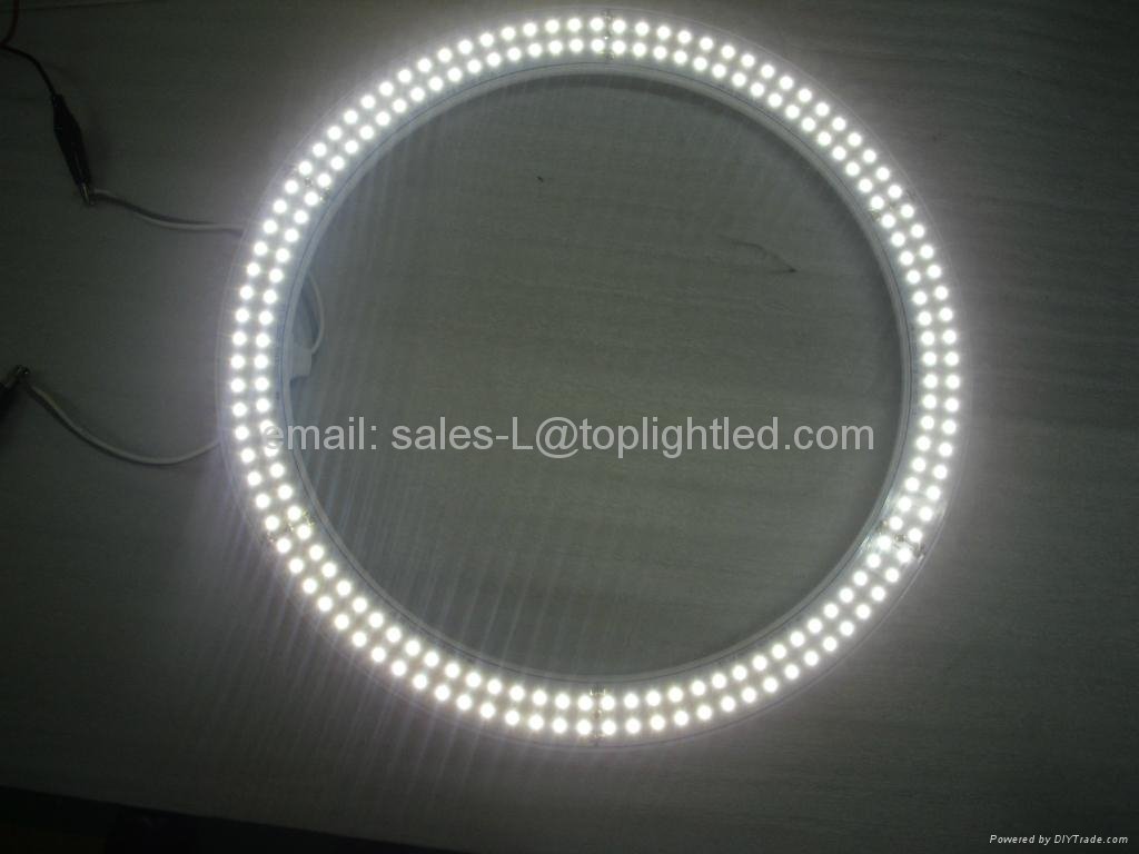 Circular LED Tube Light 2