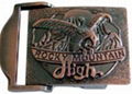 2012 latest metal pin buckles 5