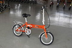 Hidden Folding ebike