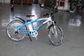 ebike with 6-speed mountain outside  1