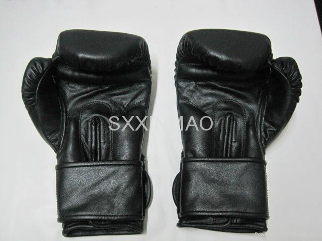 BOXING GLOVES 2