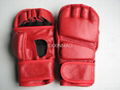 WRESTLING GLOVES 1