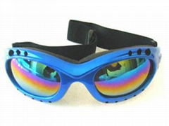 Ski Goggle