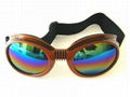 Ski Goggle 1