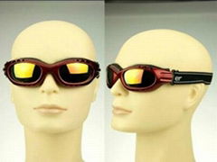 Ski Goggle