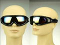 Ski Goggle