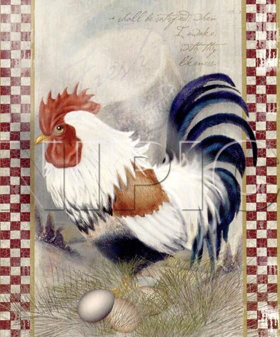 Modern abstract chicken canvas print painting 2