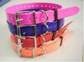 TPU dog collar 2