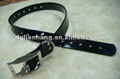 tpu hunting dog collar 1